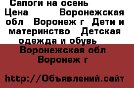 Сапоги на осень ZENDEN › Цена ­ 600 - Воронежская обл., Воронеж г. Дети и материнство » Детская одежда и обувь   . Воронежская обл.,Воронеж г.